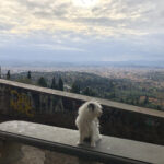 Maia und der Blick von Fiesole